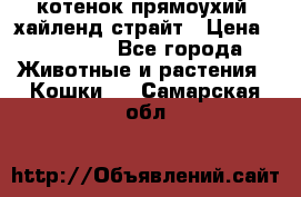 котенок прямоухий  хайленд страйт › Цена ­ 10 000 - Все города Животные и растения » Кошки   . Самарская обл.